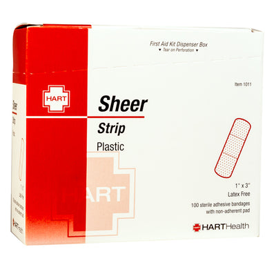 Sheer Plastic Strips, 1